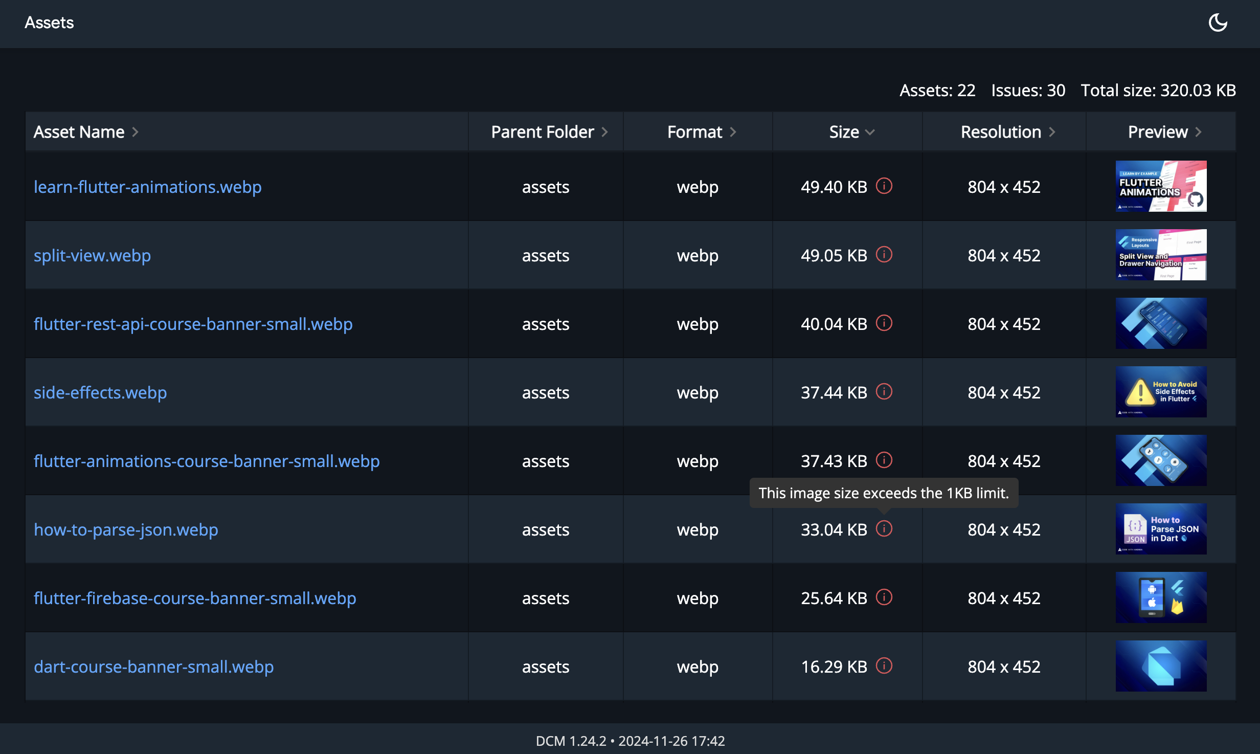 Assets HTML report